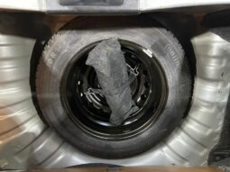 MARCH ADVANCE 2019 lleno