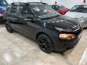 C4 CACTUS SHINE AT 2021