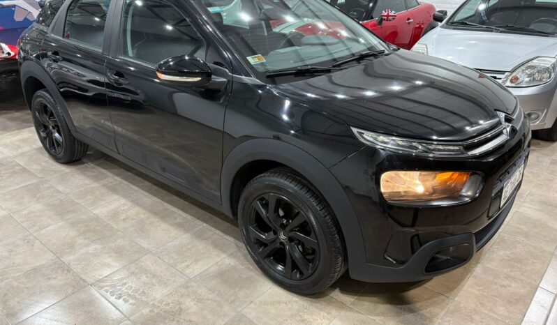 C4 CACTUS SHINE AT 2021 lleno