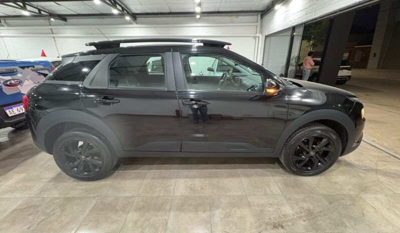 C4 CACTUS SHINE AT 2021 lleno