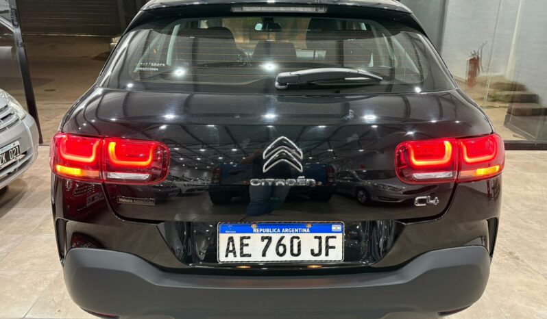 C4 CACTUS SHINE AT 2021 lleno