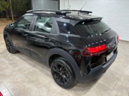 C4 CACTUS SHINE AT 2021 lleno