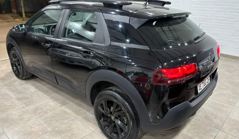 C4 CACTUS SHINE AT 2021 lleno