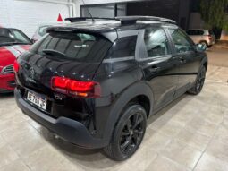 C4 CACTUS SHINE AT 2021 lleno