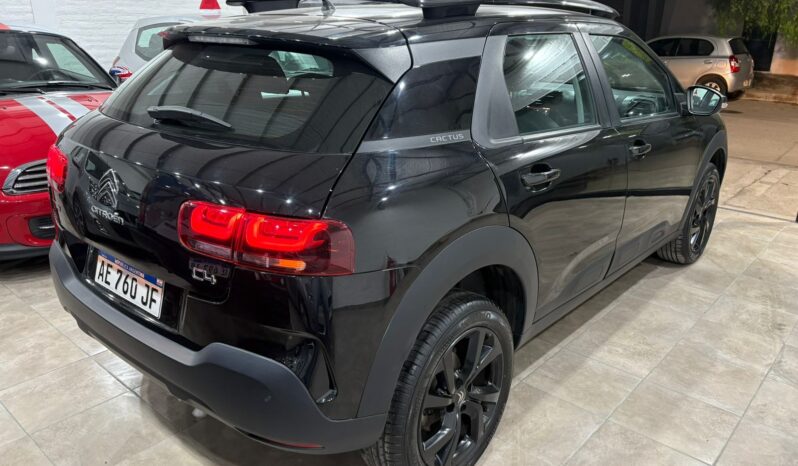 C4 CACTUS SHINE AT 2021 lleno