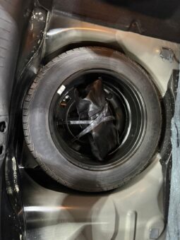 C4 CACTUS SHINE AT 2021 lleno