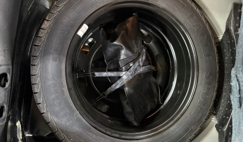 C4 CACTUS SHINE AT 2021 lleno