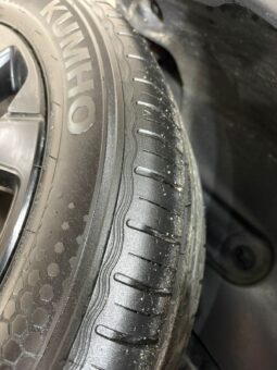 C4 CACTUS SHINE AT 2021 lleno