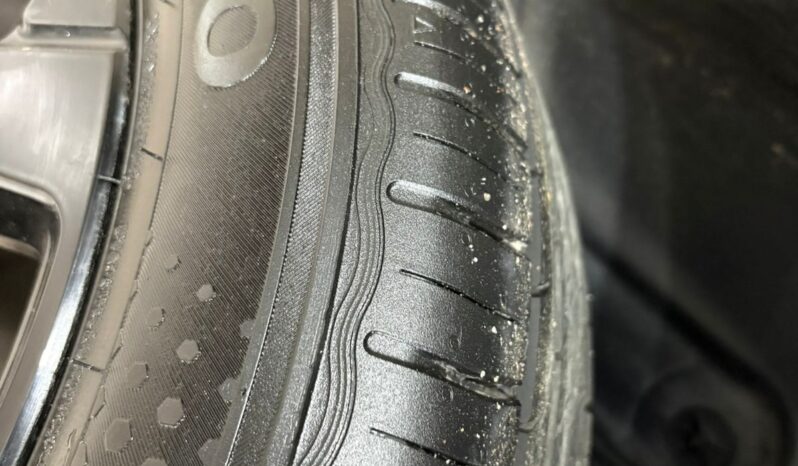 C4 CACTUS SHINE AT 2021 lleno