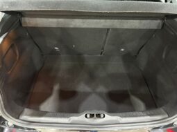 C4 CACTUS SHINE AT 2021 lleno