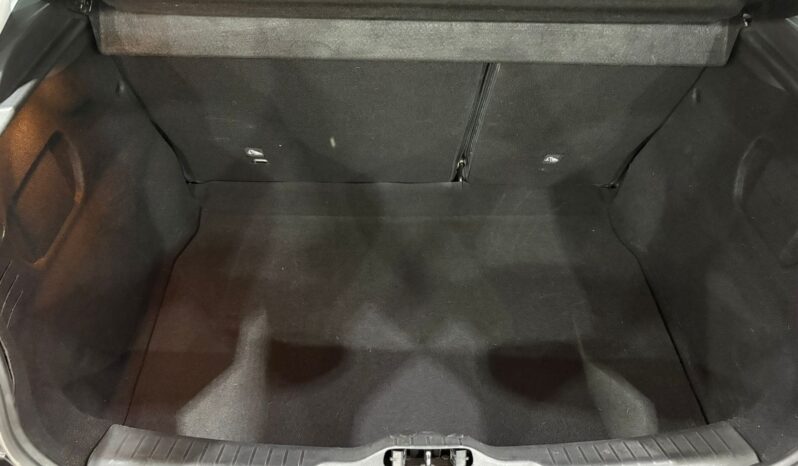 C4 CACTUS SHINE AT 2021 lleno