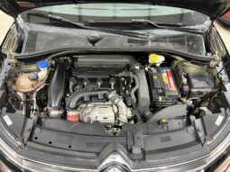 C4 CACTUS SHINE AT 2021 lleno