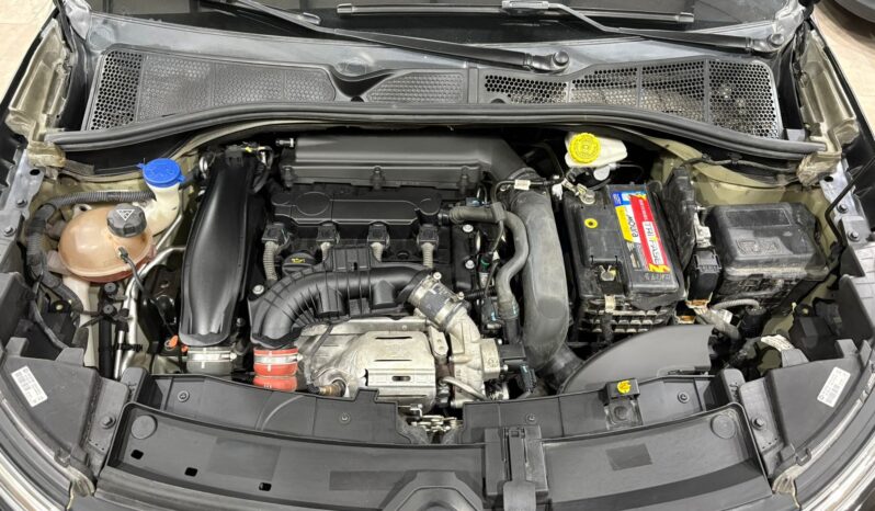 C4 CACTUS SHINE AT 2021 lleno