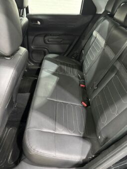 C4 CACTUS SHINE AT 2021 lleno