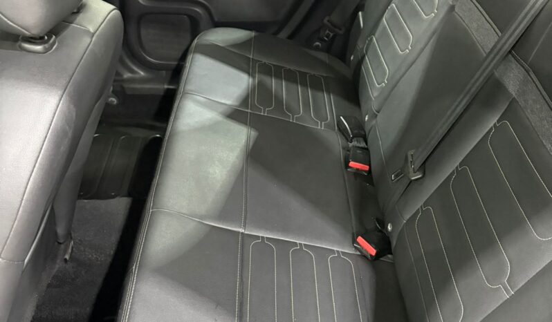 C4 CACTUS SHINE AT 2021 lleno