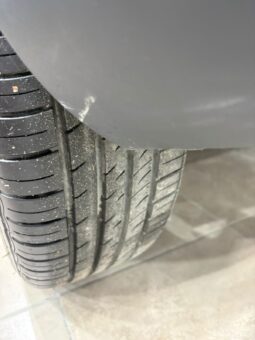 C4 CACTUS SHINE AT 2021 lleno